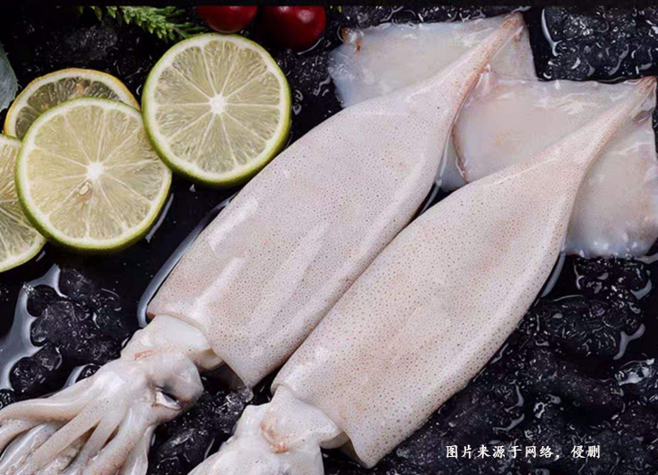巴基斯坦魷魚進口報關資料