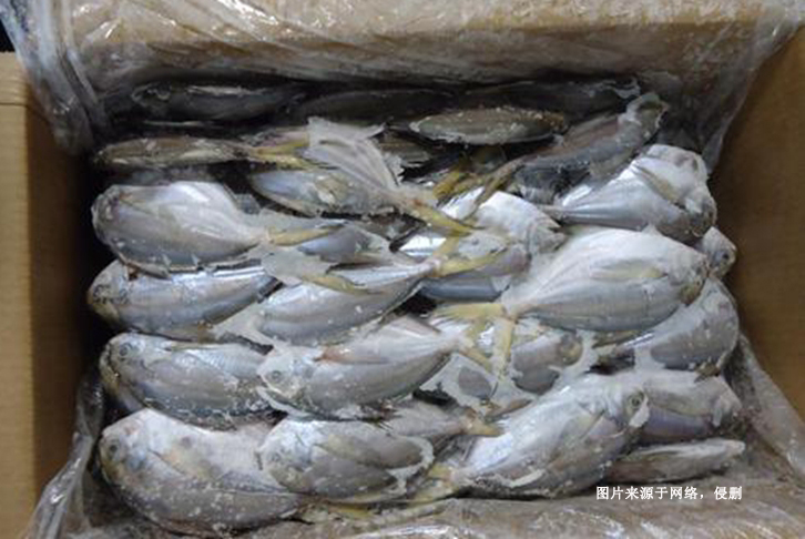 厄瓜多爾冷凍鯧魚進口報關費用