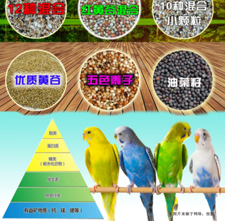 廣州進口加拿大寵物飼料清關流程代理海運貨代案例