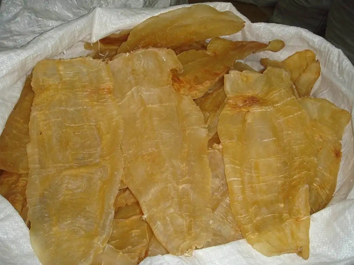 進口魚膠清關