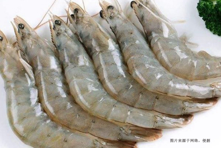 印尼去頭明對蝦進口報關
