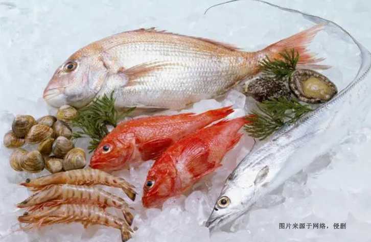 魚蝦蟹海鮮進口報關流程