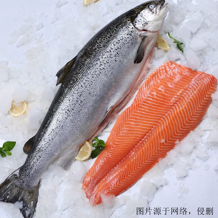 挪威三文魚進口報關資料
