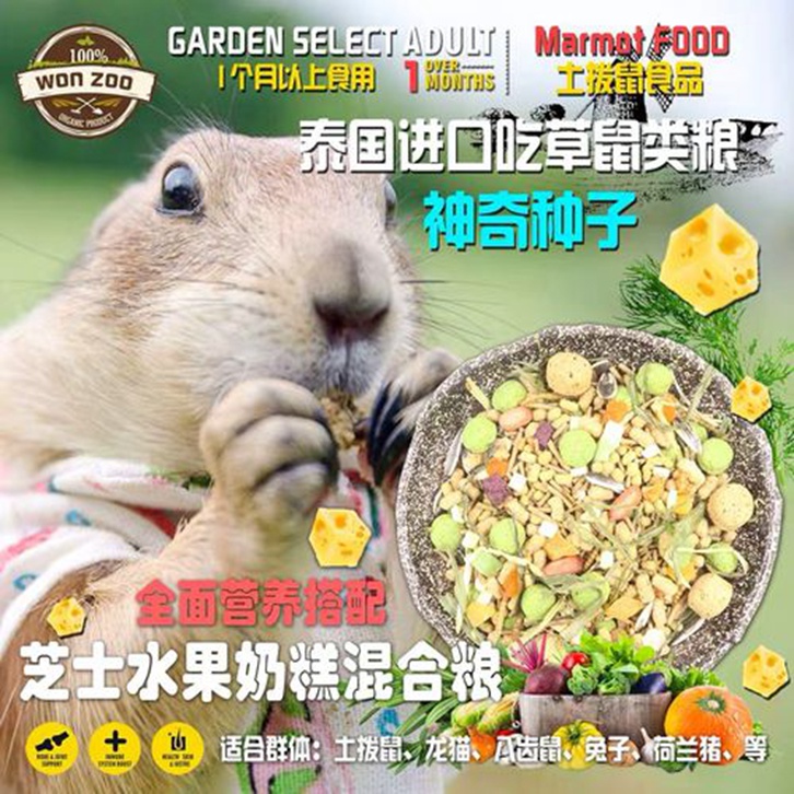 動物飼料進口報關流程