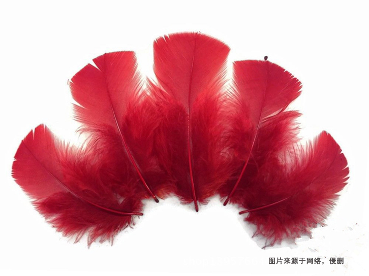 泰國進(jìn)口火雞毛報關(guān)流程